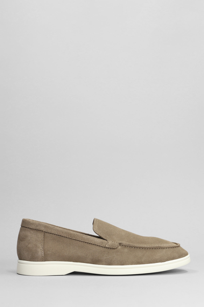 National Standard Edition 11 Low Loafers In Brown Suede