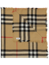 Burberry Scarves