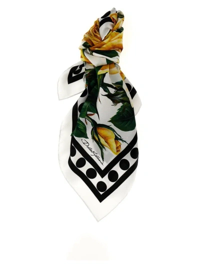 Dolce & Gabbana Rose-print Rectangle Scarf In Multi