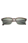 Ted Baker 55mm Polarized Square Sunglasses In Tortoise