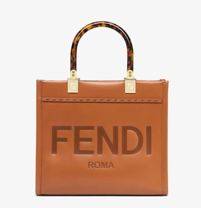 Fendi Hand Bags In Brown