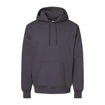 Hanes Ultimate Cotton Hooded Sweatshirt In Blue