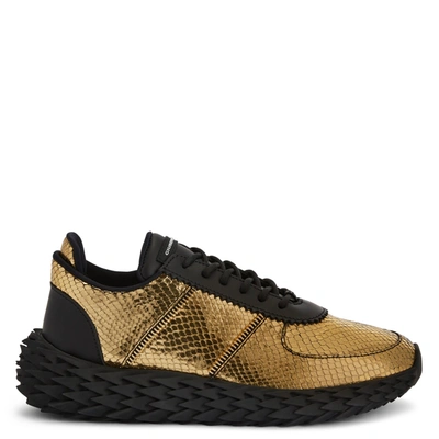 Giuseppe Zanotti Urchin Snakeskin-effect Panelled Sneakers In Gold