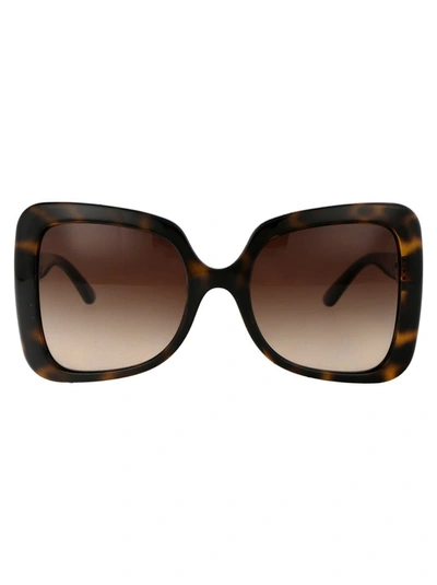 Dolce & Gabbana Sunglasses In 502/13 Havana