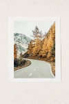 83 Oranges Snow And Gold Pine Art Print