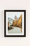 83 Oranges Snow And Gold Pine Art Print
