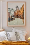 83 Oranges Snow And Gold Pine Art Print