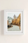 83 Oranges Snow And Gold Pine Art Print