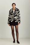 Dawn Levy Madrid - Zebra In Multi