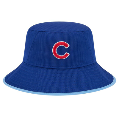 New Era Royal Chicago Cubs Game Day Bucket Hat In Blue