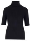 Lisa Yang Beca Sweater With High Collar In Black