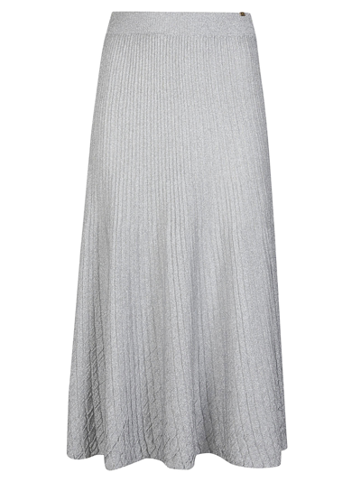 Elisabetta Franchi Midi Skirt In Grey
