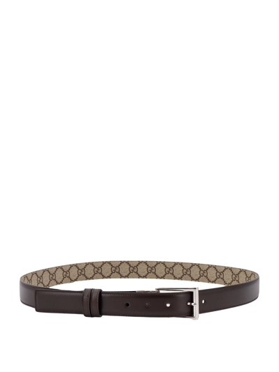 Gucci Belt In Cocoa/beige Ebony