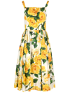 Dolce & Gabbana Pleated Button-embellished Floral-print Cotton-poplin Midi Dress