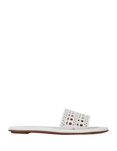 Alaïa Laser Cut Leather Slide Sandals In White