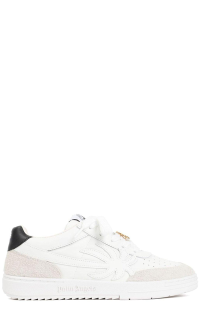 Palm Angels Palm University Sneakers In White 1