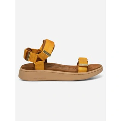 Woden Line Sandals In Gold