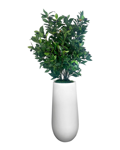 Creative Displays Green Olive Tree In Fiberstone Planter