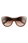 Ferragamo Classic 54mm Gradient Cat Eye Sunglasses In Crystal Brown/ Brown Gradient