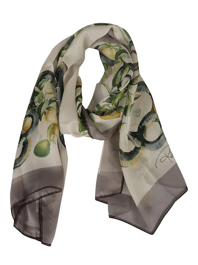 Roberto Cavalli Scarfs In Grey