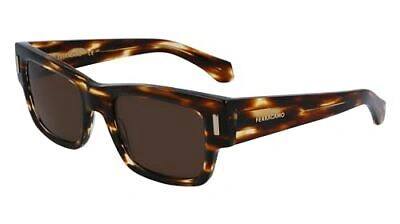 Pre-owned Ferragamo Salvatore  Sf2011s-216-5321 Striped Brown Sunglasses