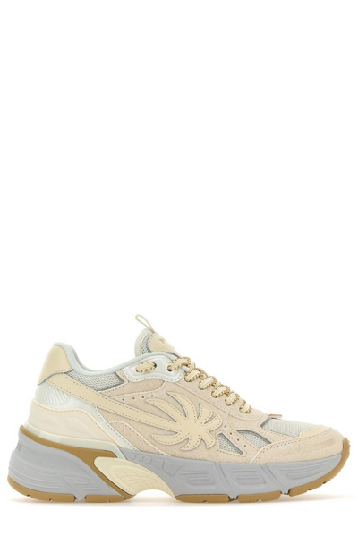 Palm Angels Palm Patch Low In Beige