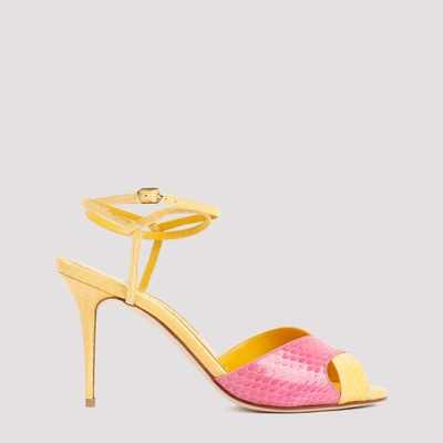 Manolo Blahnik Mumbi Sandal Shoes In Yellow