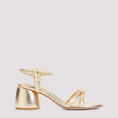 Gianvito Rossi Women's Cassis 60 Leather Block Heel Sandals In Mekong