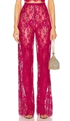 Bronx And Banco Capri Pant In Fuchsia