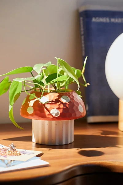 Urban Outfitters Cayla Mushroom Planter In Red At  In Brown