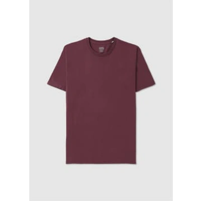 Colorful Standard Mens Classic Organic T-shirt In Dusty Plum In Burgundy