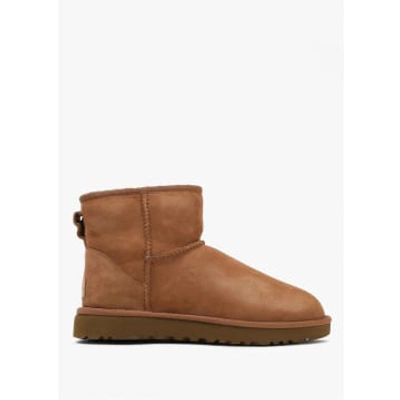 Ugg Womens Classic Mini Boot In Chestnut In Brown