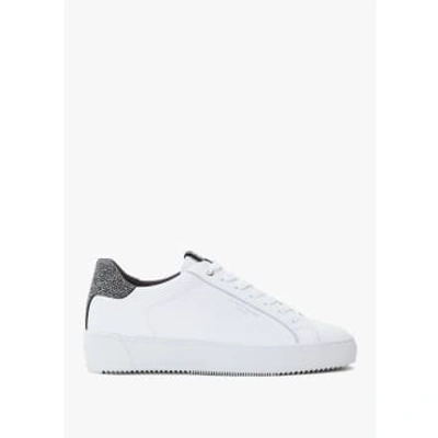 Android Homme Mens Zuma Reflective Caviar Trainers In White