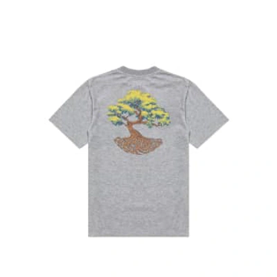 Hikerdelic Trunk Ss T-shirt In Grey Marl