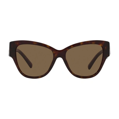 Dolce & Gabbana Dg4449 Dg Crossed Sunglasses In Brown / Dark
