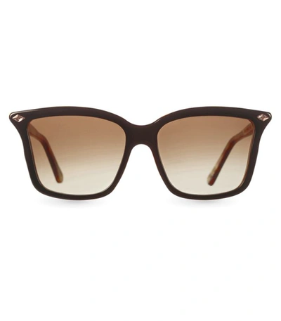 Eclipse Ec227 Sunglasses In Mud Havana
