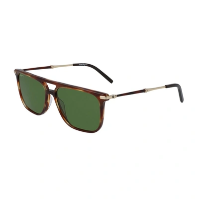 Ferragamo Sf966s Sunglasses In Tartarugato