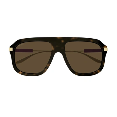 Gucci Gg1309s Linea Web Sunglasses In Brown