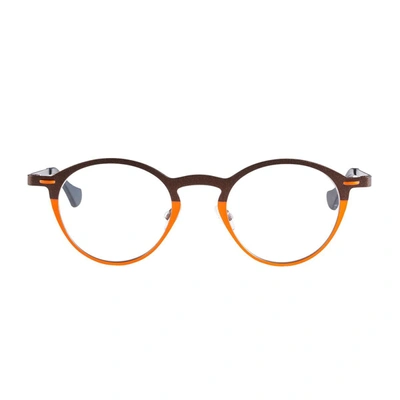 Matttew Mango Eyeglasses In Brown