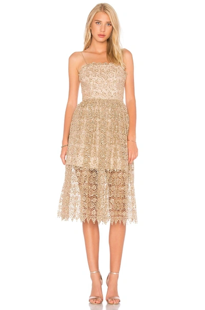 Alice And Olivia Alice + Olivia Alma Embroidered Lace Party Dress In Nocolor