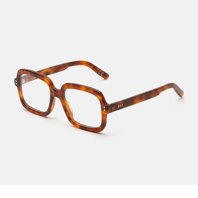 Retrosuperfuture Numero 103 Havana Diversa Eyeglasses In Brown