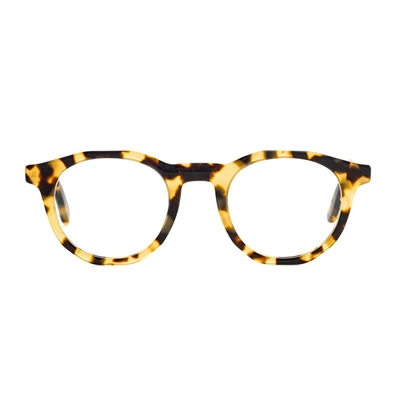 Toffoli Costantino T047 Eyeglasses In Brown