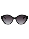 Liu •jo Liu Jo Sunglasses In 001 Black