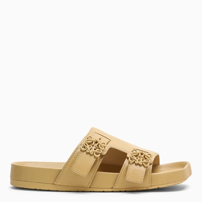 Loewe Ease Leather Dual-buckle Slide Sandals In Multicolor