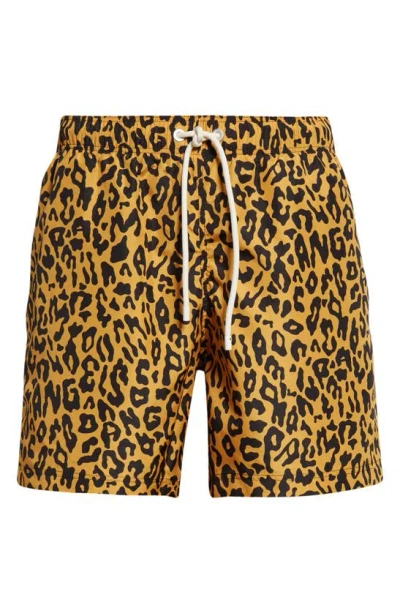 Palm Angels Cheetah-print Swim Shorts In Orange/black