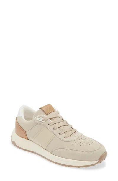 Tod's Suede Sneaker In Sand