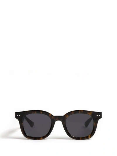 Peter And May Sunglasses In Tortoise