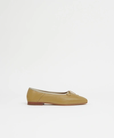 Mansur Gavriel Bow-detailed Leather Ballet Flats In Safari