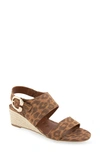 AEROSOLES WORTH WEDGE SANDAL