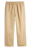 Carhartt Newhaven Rinsed Canvas Pants In Sable Rinsed